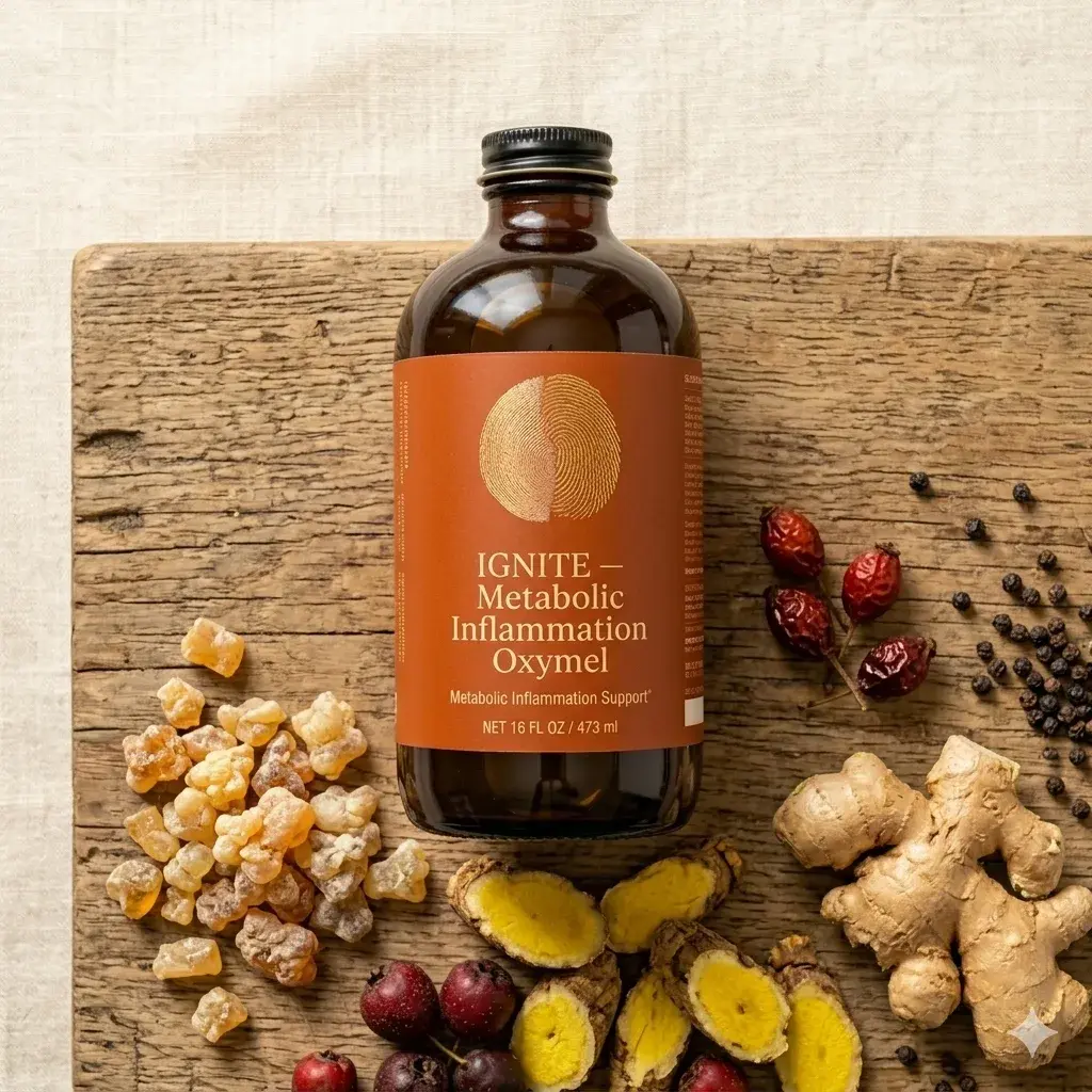 Ignite — Metabolic Inflammation Support Oxymel